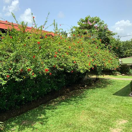Casona Tica Linda Hotel Sarapiqui Luaran gambar