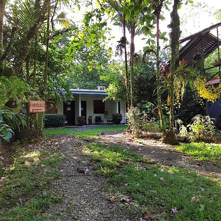 Casona Tica Linda Hotel Sarapiqui Luaran gambar